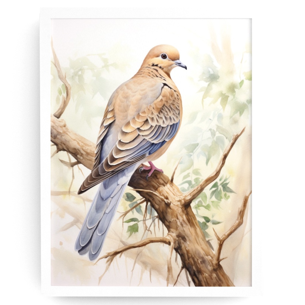 Watercolor Mourning Dove Bird Portrait Wall Art Illustration Print Unframed